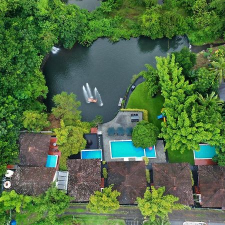 Athirapally Green Trees Athirappilly Exteriör bild