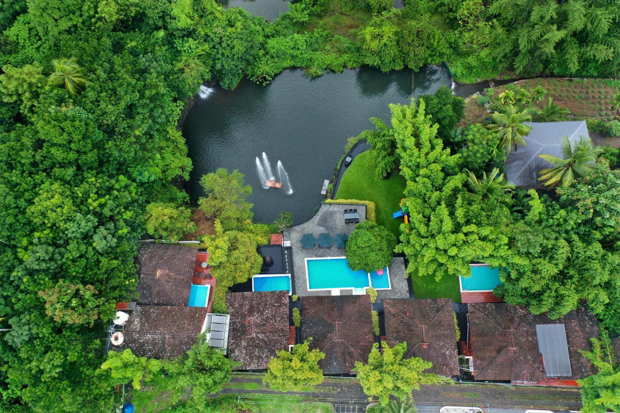 Athirapally Green Trees Athirappilly Exteriör bild