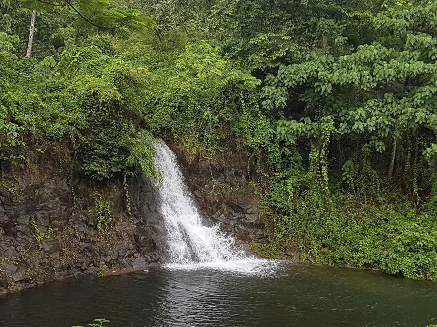 Athirapally Green Trees Athirappilly Exteriör bild